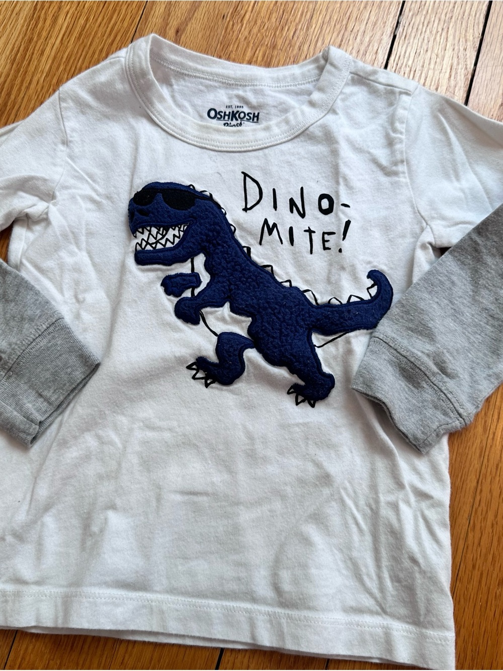 Bundle Of 5 T-shirts Sweater Sz 18-24 Months Oshkosh Old Navy Jumping Beans - Picture 3 of 16